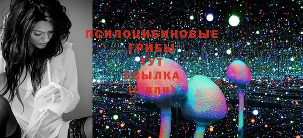 мяу мяу мука Дмитриев